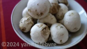 Duxelles de champignons