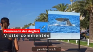 Promenade des Anglais : visite commentée par Yann Lefebvre