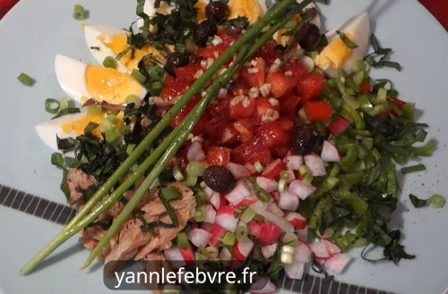 Salade niçoise : salade de tomates de Nice (crudités, œufs, thon, anchois). Simple & savoureuse ! par Yann lefebvre