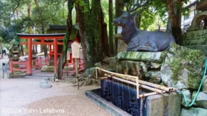 Kasuga Taisha * Le Sanctuaire aux Lanternes