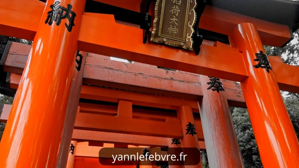 Sanctuaire de Fushimi Inari Taisha - Tunnel de Torii par Yann Lefebvre 2024