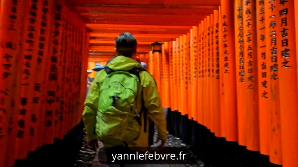 Sanctuaire de Fushimi Inari Taisha - Tunnel de Torii par Yann Lefebvre 2024