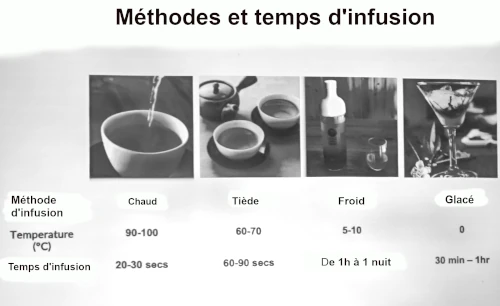 Wasuka: Méthode et temps d'infusion du thé