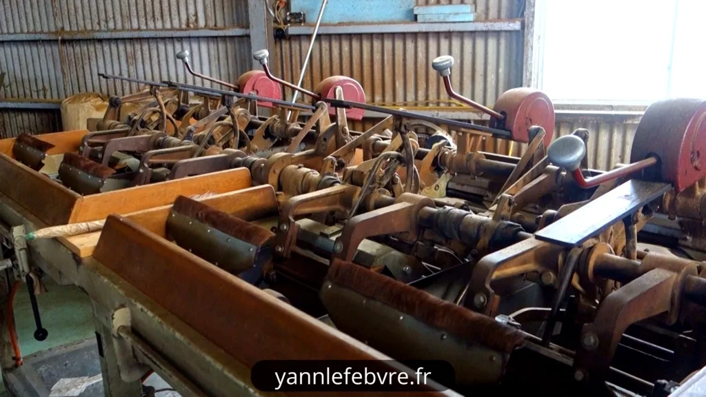 Wasuka: plantation de thé - phase de roulage du thé