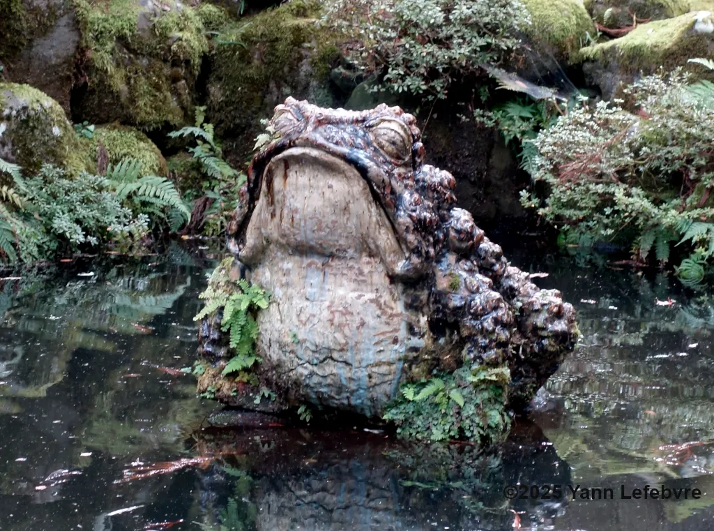 EIheiji - temple zen - Japon - Yann Lefebvre