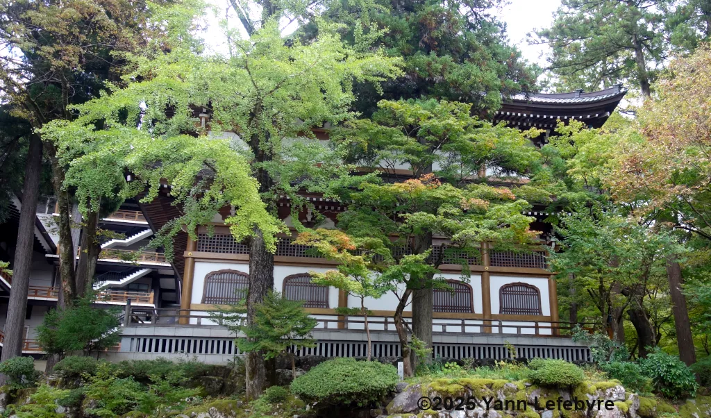 EIheiji - temple zen - Japon - Yann Lefebvre