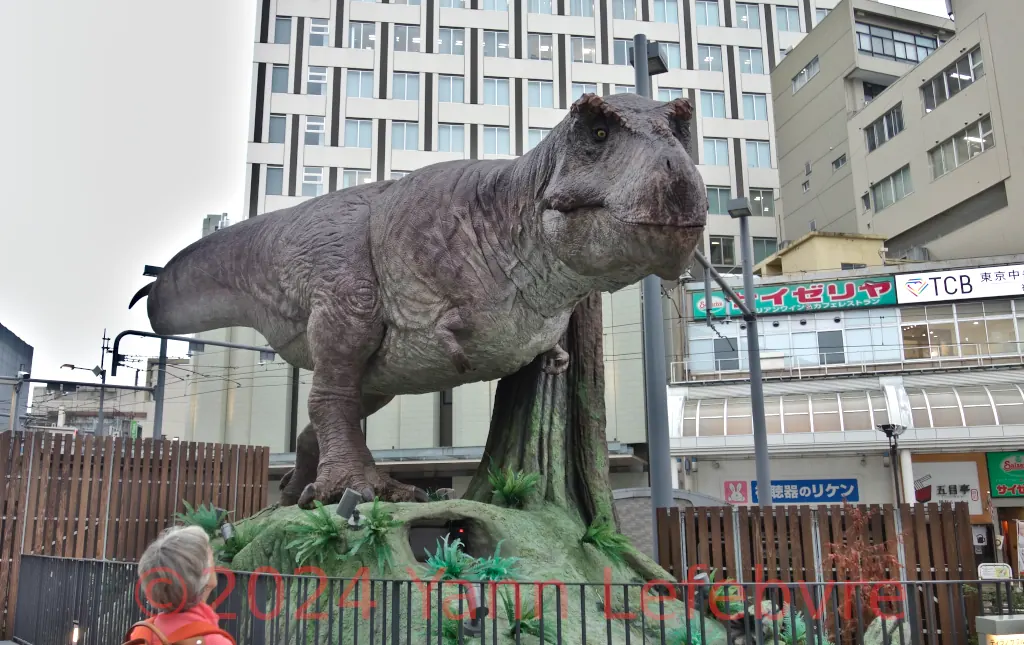 Fukui connu pour ses fossiles de dinosaures -Japon