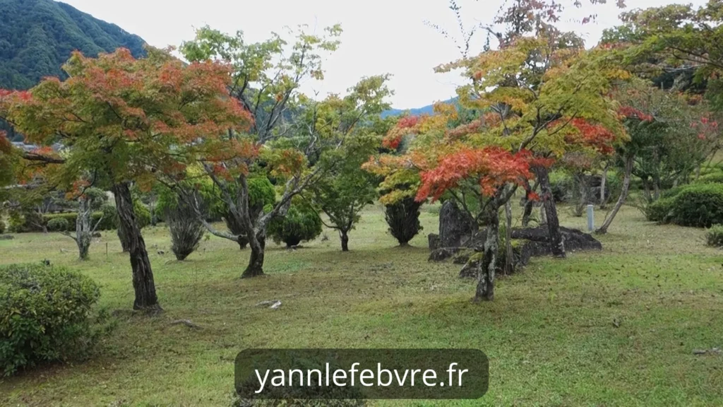 Visite du jardin Echizen Ajimanoen