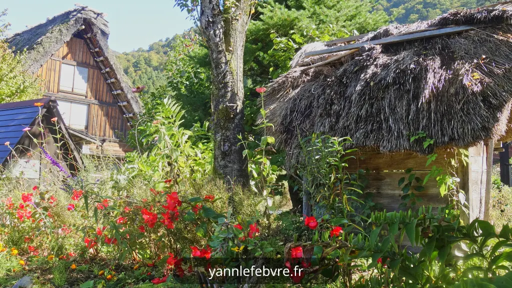 Shirakawa-go : le village phare d'Ogimachi, un joyau du patrimoine UNESCO par Yann Lefebvre
