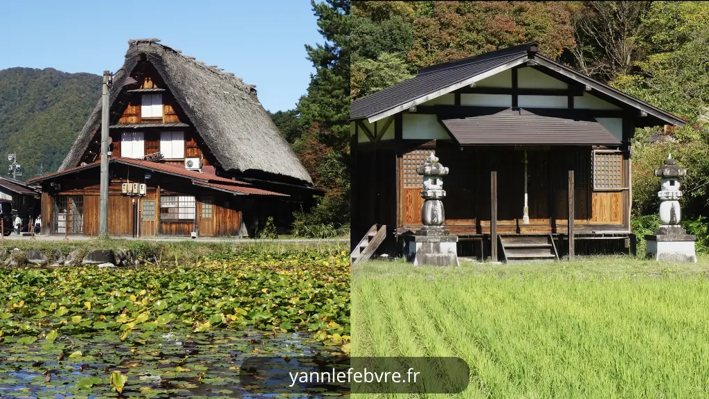 Shirakawa-go : étang de nénuphars et sur le petit chemin de bois par Yann Lefebvre
