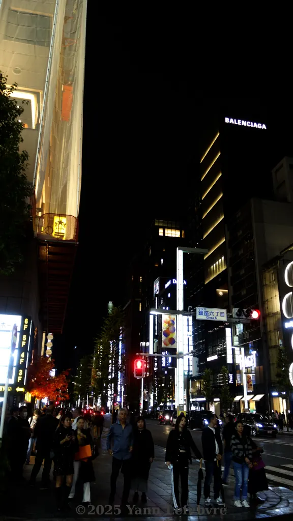 Le quartier Surnommé les "Champs-Elysées" de Tokyo par Yann Lefebvre