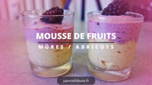 Mousse de fruits bicolore par Yann Lefebvre : dressage avec mûres et abricots