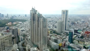 Tokyo - Vue de la Mairie de tokyo : observatoire au 45e étage par Yann Lefebvre