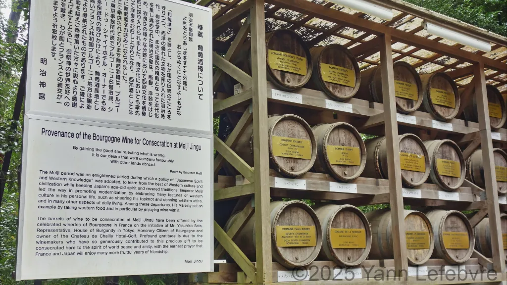 Sanctuaire Meiji-jingu octobre 2024 par Yann Lefebvre