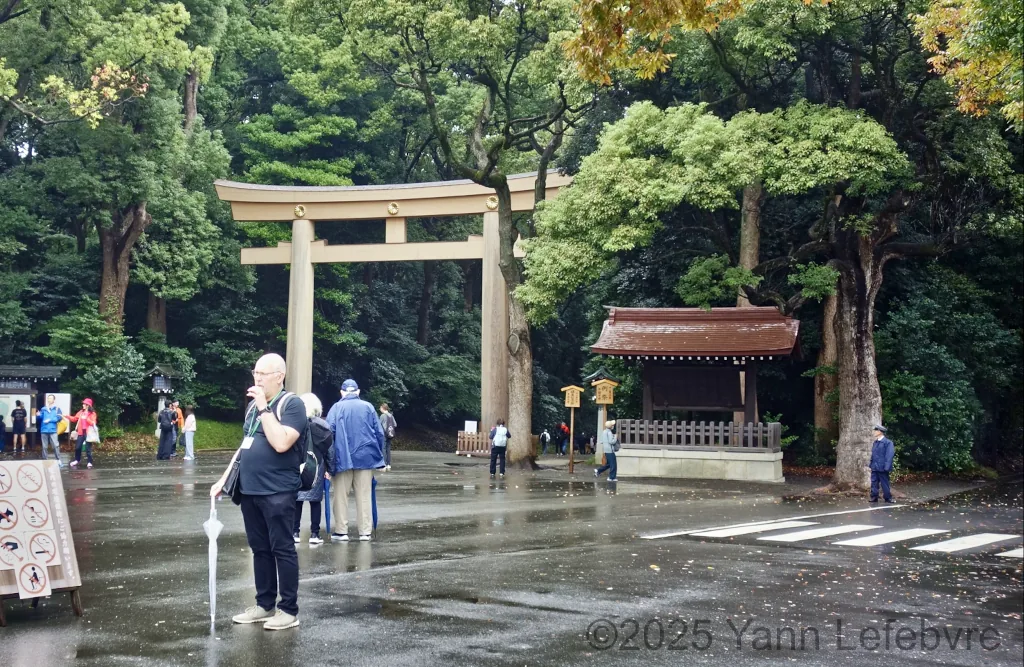 Sanctuaire Meiji-jingu octobre 2024 par Yann Lefebvre