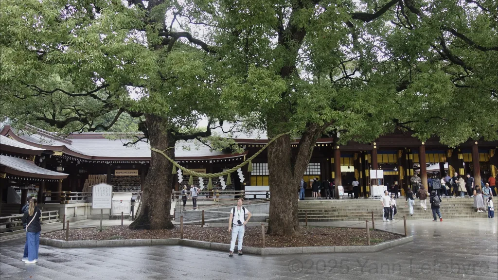 Sanctuaire Meiji-jingu octobre 2024 par Yann Lefebvre