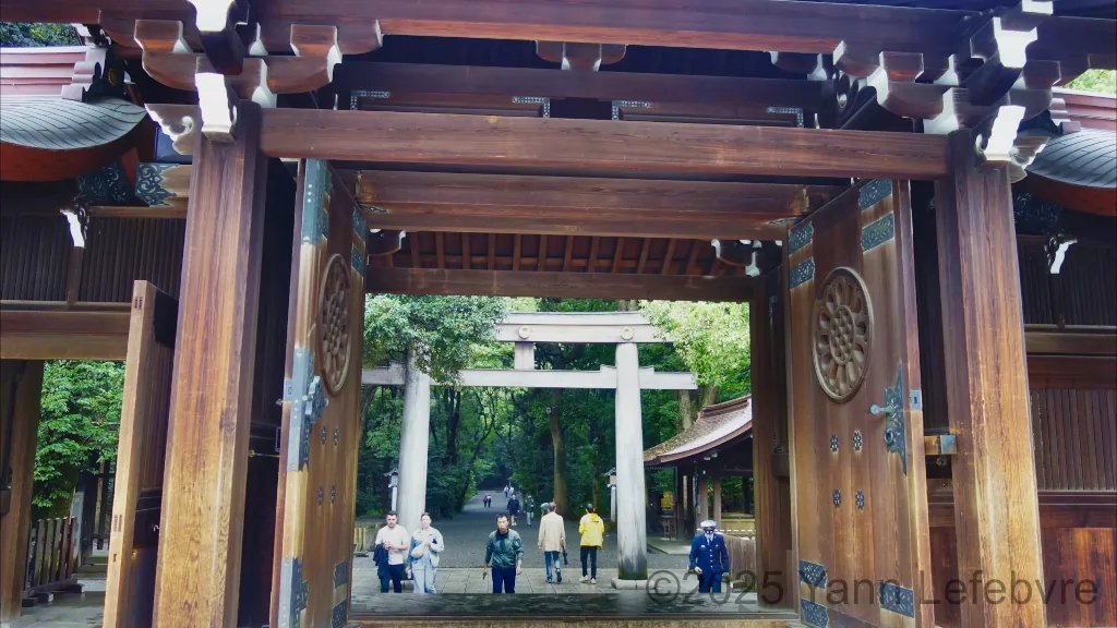 Sanctuaire Meiji-jingu octobre 2024 par Yann Lefebvre