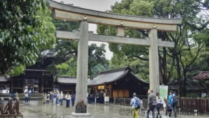 Sanctuaire Meiji-jingu octobre 2024 par Yann Lefebvre