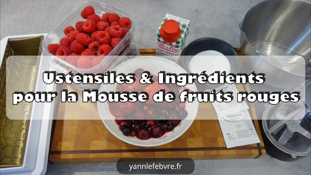 Bûche fruitée avec biscuit Joconde en 5 parties par Yann Lefebvre 2025