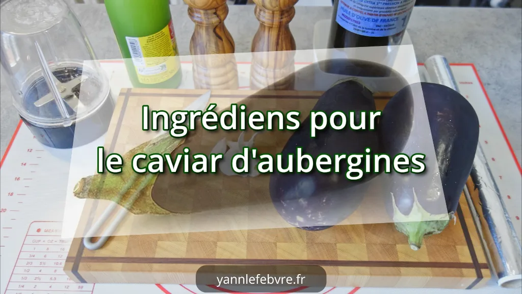Pizza au caviar d’aubergine : recette savoureuse, facile et originale pour un repas méditerranéen gourmand par Yann Lefebvre 23025