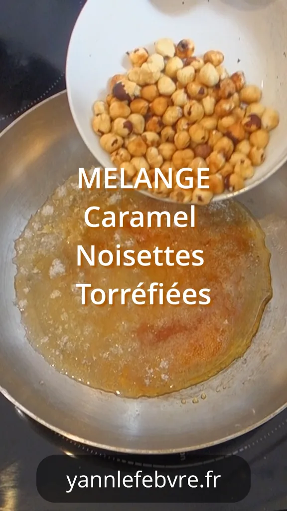 Pralin : Pâte ou poudre d’amandes/noisettes torréfiées et caramelisées, idéale pour parfumer crèmes, chocolats et desserts. Yann Lefebvre 2025