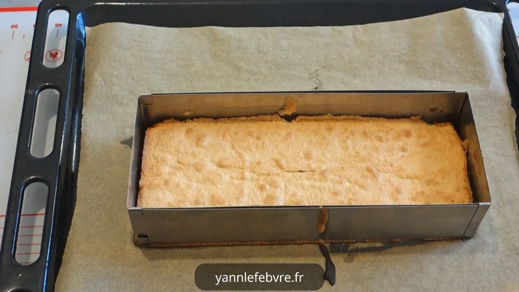 Bûche de Noël Praliné-Poire qui Fond en Bouche (Dacquoise + Ganache) par Yann Lefebvre 2025