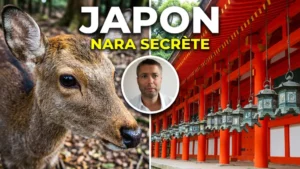 Kasuga Taisha * Le Sanctuaire aux Lanternes