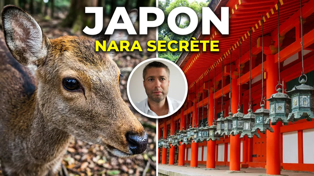 Kasuga Taisha * Le Sanctuaire aux Lanternes