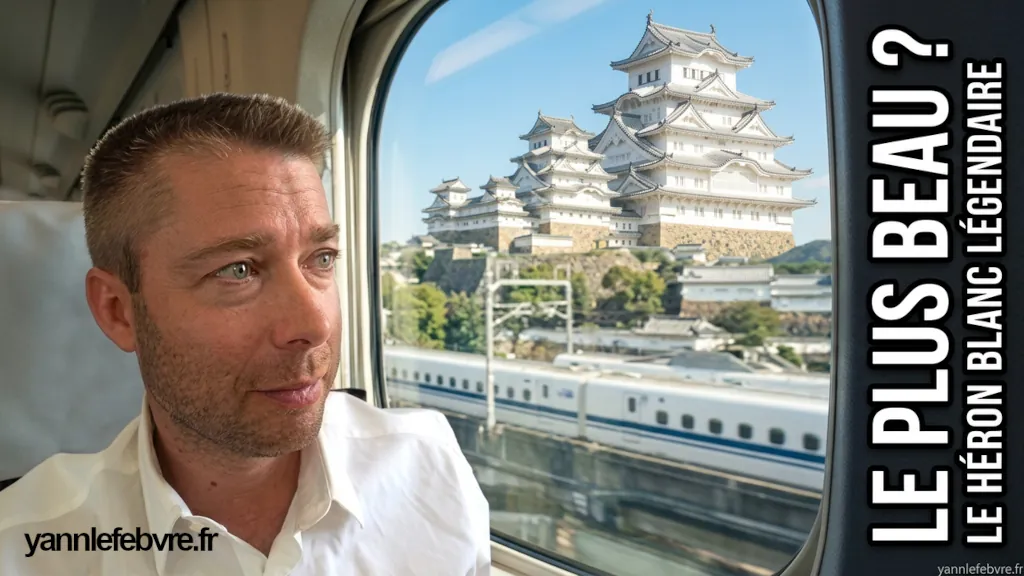 Japon - Château féodal - Héron blanc - Vue du donjon principal par Yann Lefebvre 2024