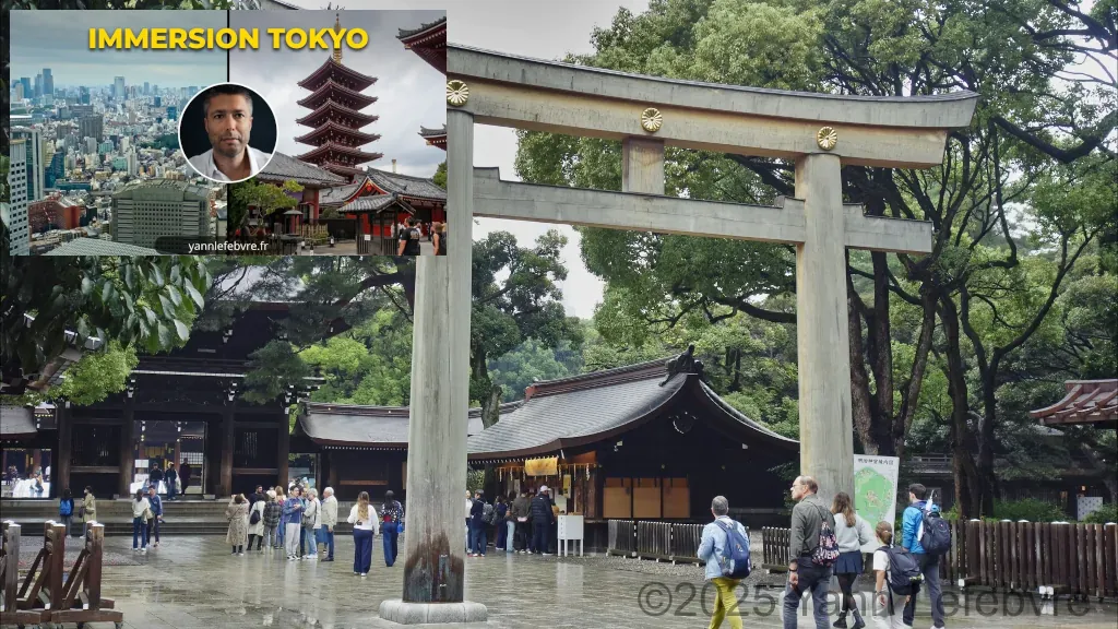 Sanctuaire Meiji-jingu octobre 2024 par Yann Lefebvre
