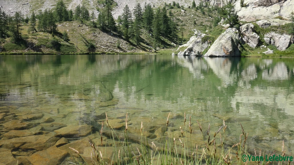 Randonnée au Lac de Graveirette : En dessous du Lac Nègre par Yann Lefebvre