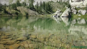 Randonnée au Lac de Graveirette : En dessous du Lac Nègre par Yann Lefebvre