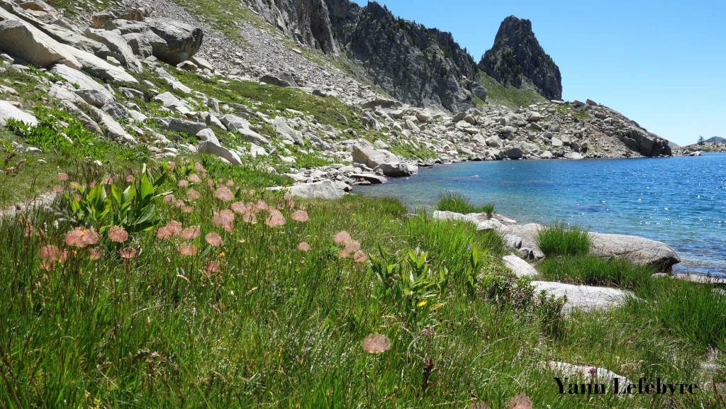 Randonnée Mercantour : bivouac en toute autonomie 3 jours autour du La Nègre par Yann Lefebvre