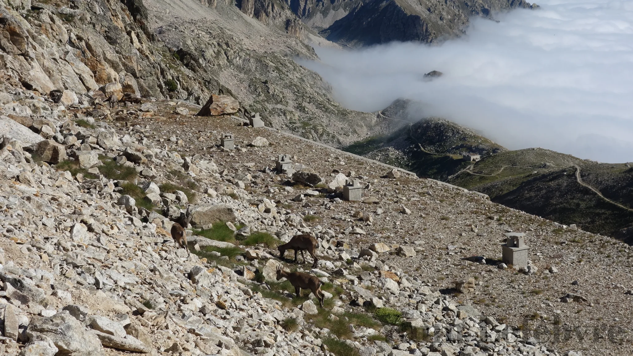 colfremamorte-survestige Col de Frémamorte par Yann Lefebvre